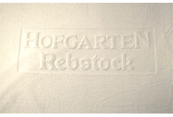 Hotel Hofgarten und Rebstock